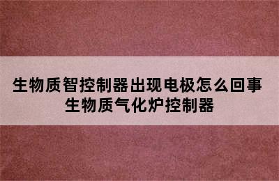 生物质智控制器出现电极怎么回事 生物质气化炉控制器